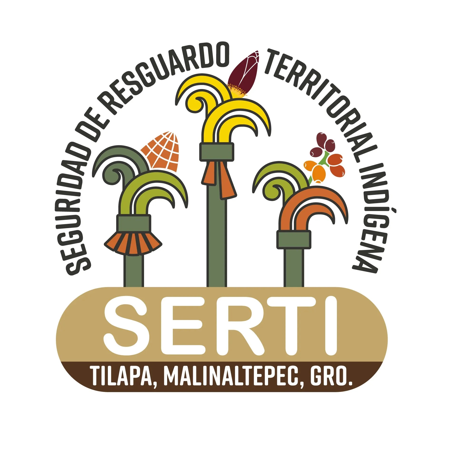 Relevo de consejeros, comandantes y policías comunitarios en la Montaña de Guerrero