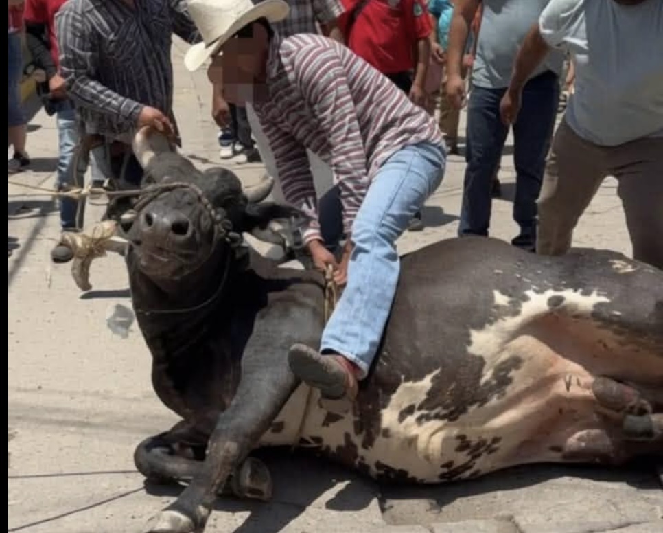 SEMAREN exhorta a municipios a evitar el maltrato animal durante festividades