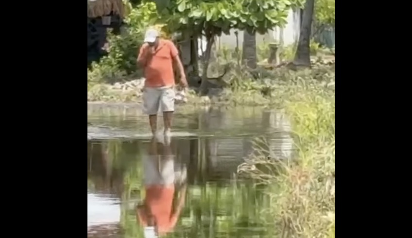 Tromba inundó medio centenar de casas en Bajos del Ejido en Coyuca de Benítez