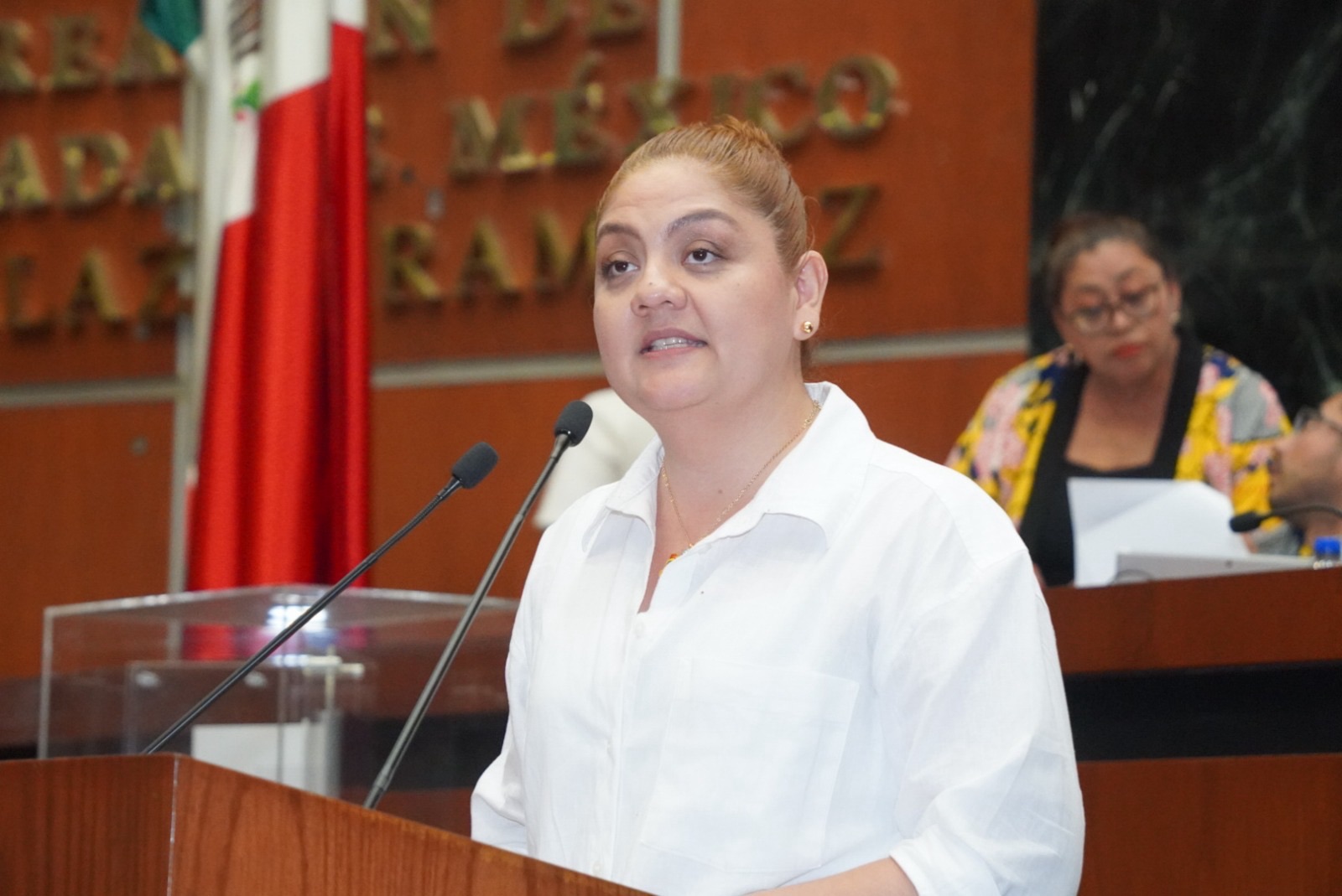 Presenta diputada Érika Isabel Guillén Román iniciativa para reordenar y distinguir tipos y modalidades de violencia en la Ley 553 de Guerrero