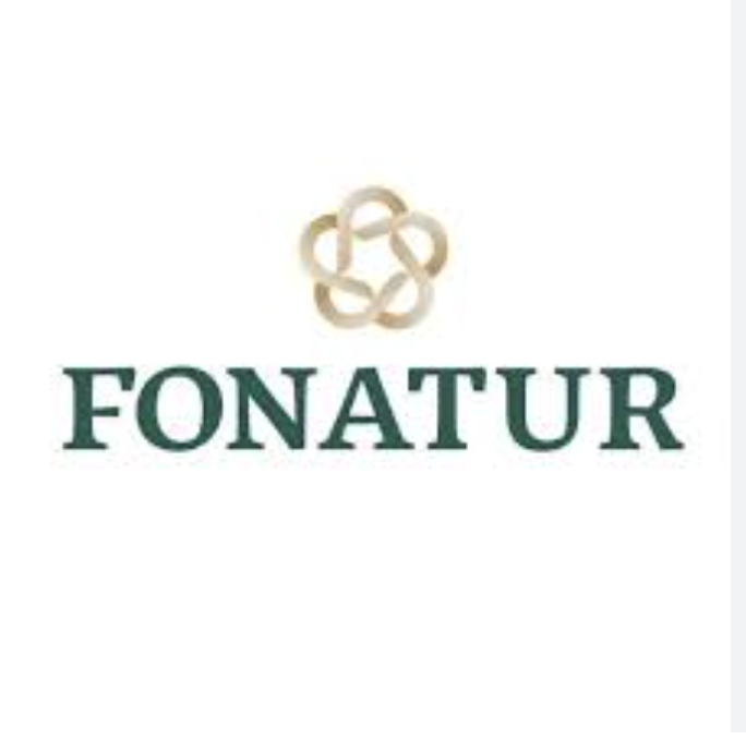 fonstur La temporada decembrina, la mejor de los últimos años