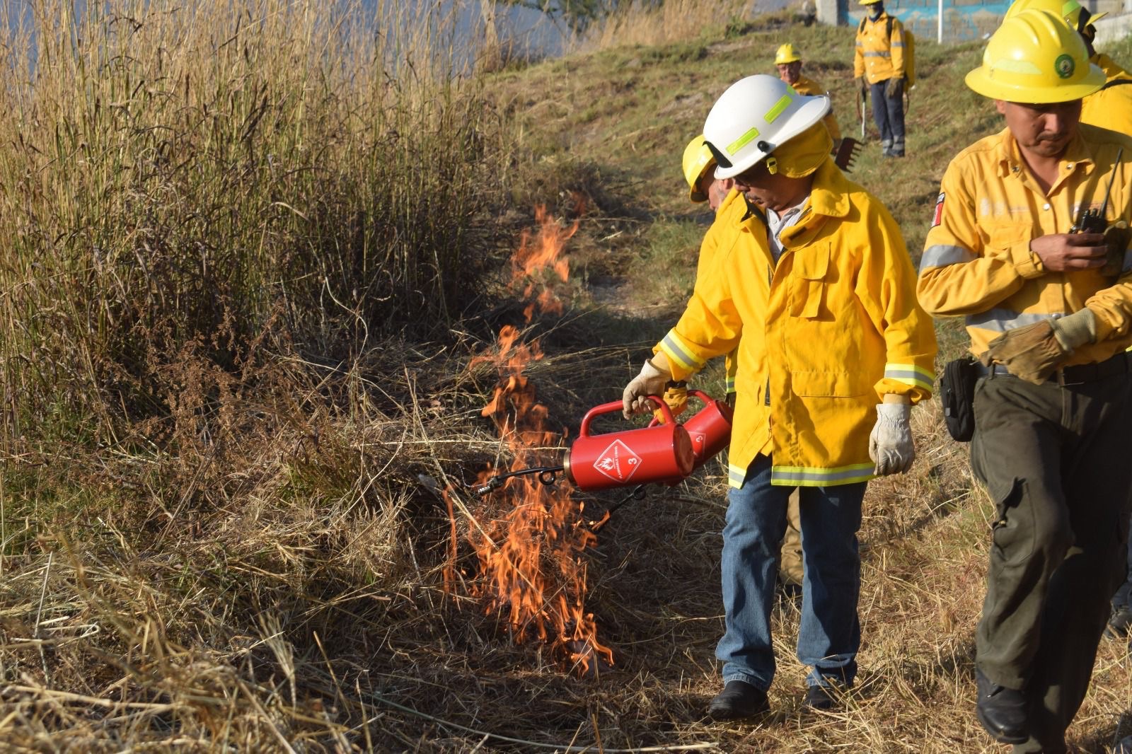 La SGIRPCGRO continúa labores para la prevención de incendios forestales en el estado&nbsp;