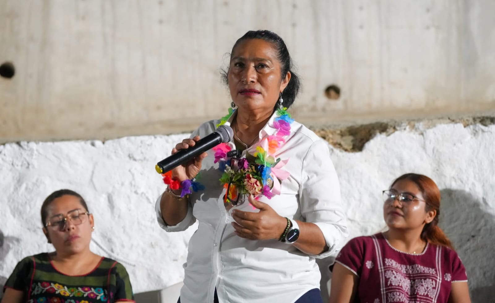 abelina Abelina a la práctica de la auditoría forense