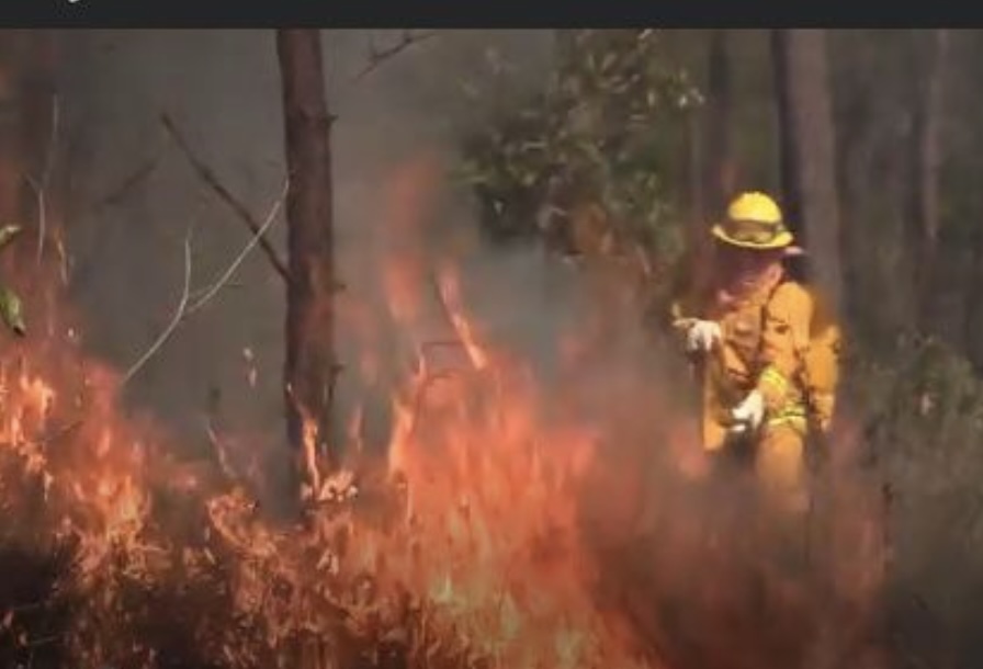 Esperan una temporada «crítica» de incendios en 2026