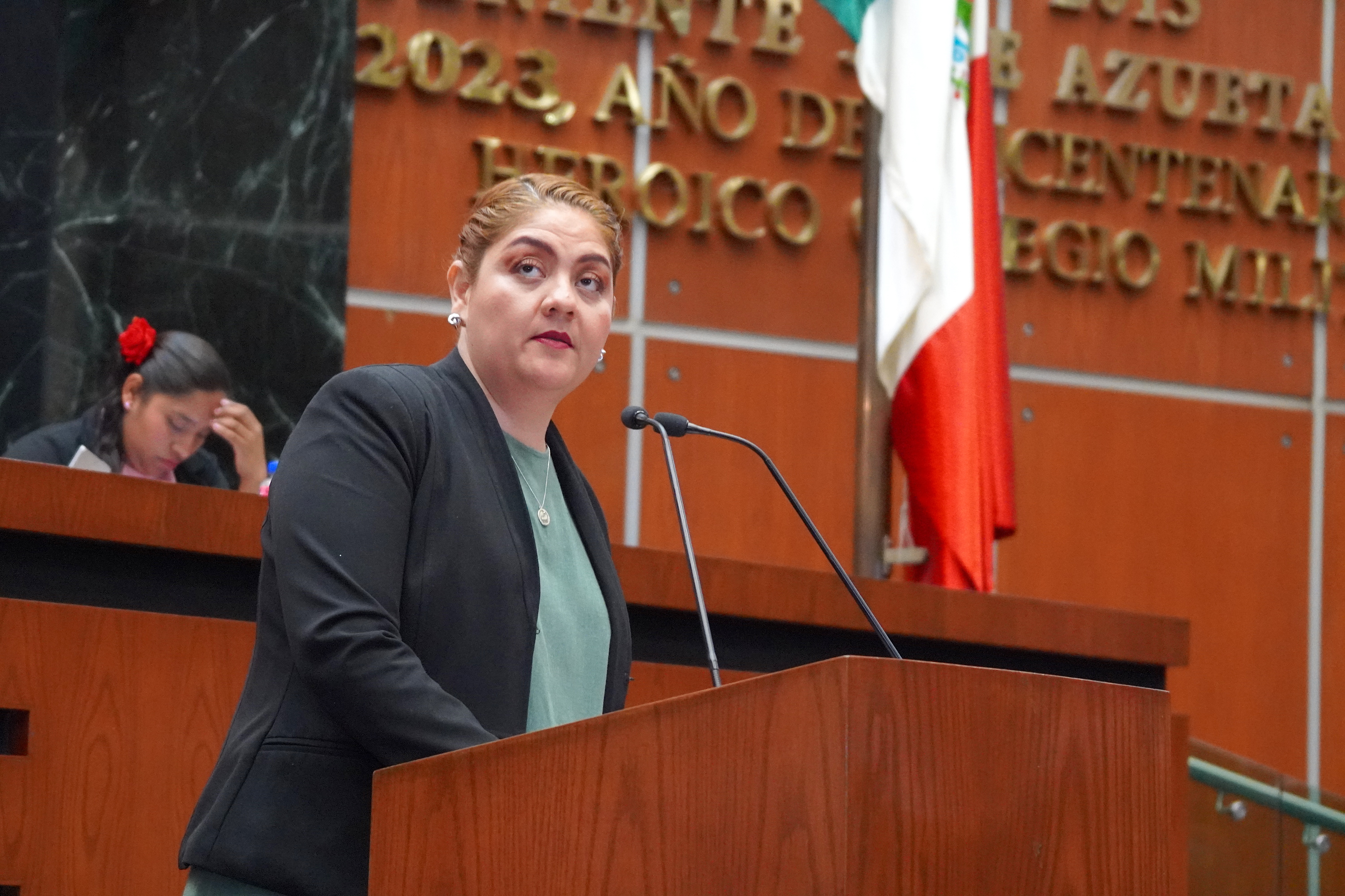 Diputada Erika Guillén propone garantizar inclusión efectiva de niñas y niños con discapacidad en Guerrero