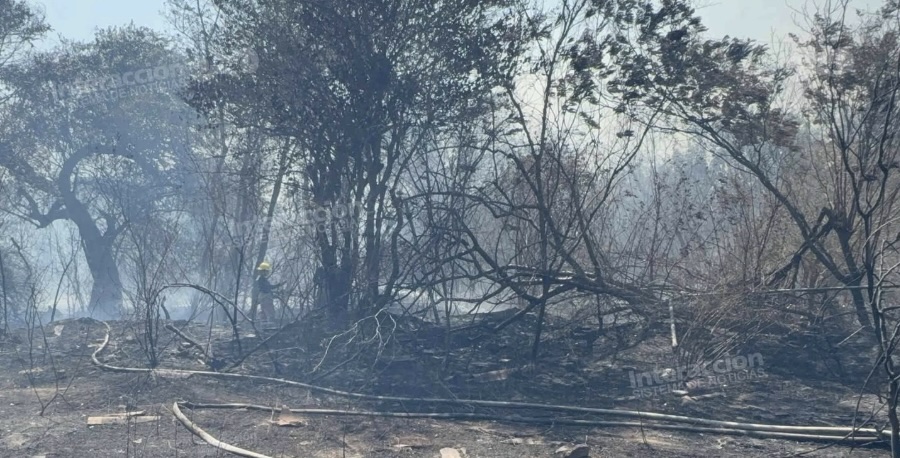 Incendios forestales aumentan un 20% forestales en Acapulco