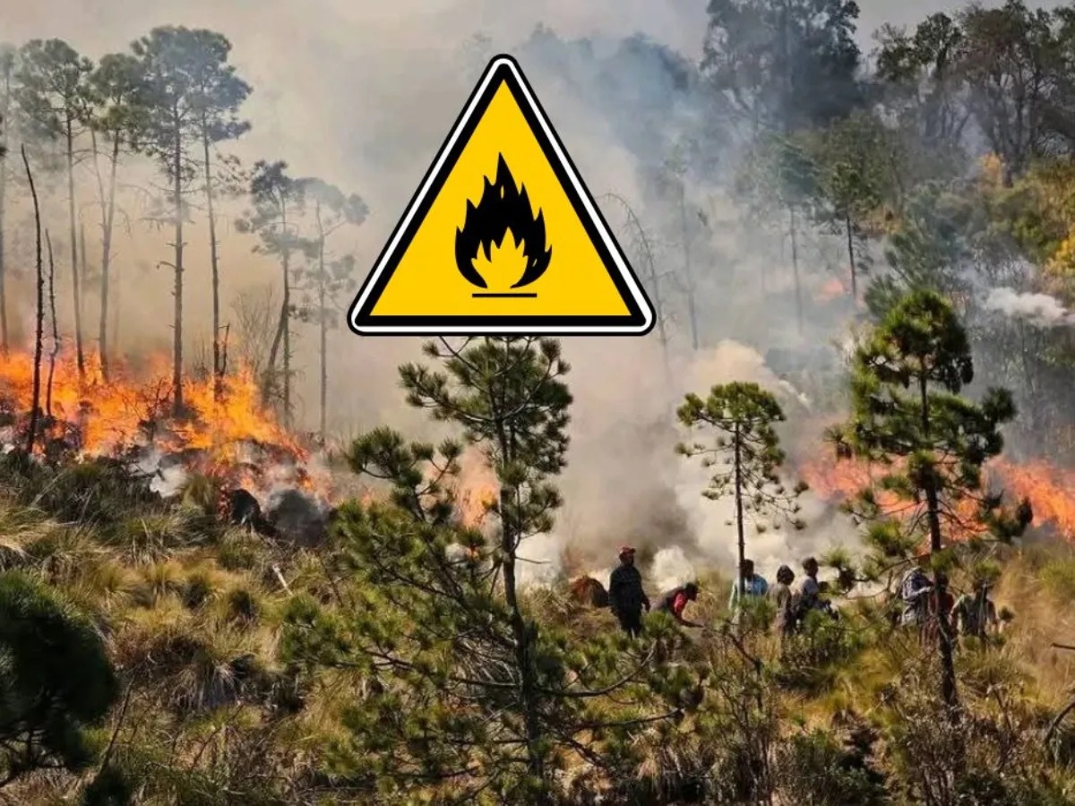 Incendio arrasa con 385 hectáreas de bosque en la Montaña y Costa Chica