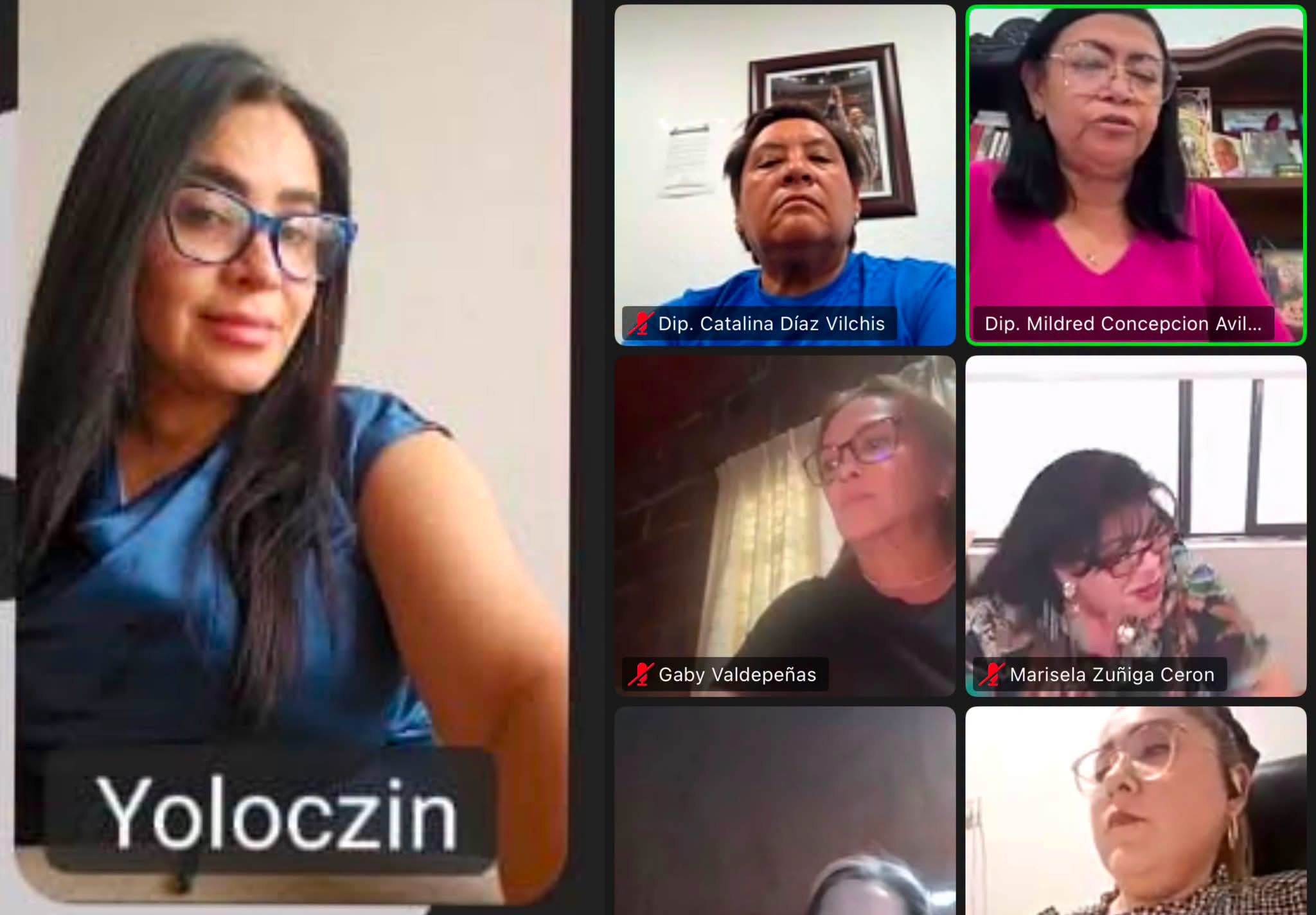 Yoloczin Domínguez impulsa avances en derechos humanos desde el Congreso