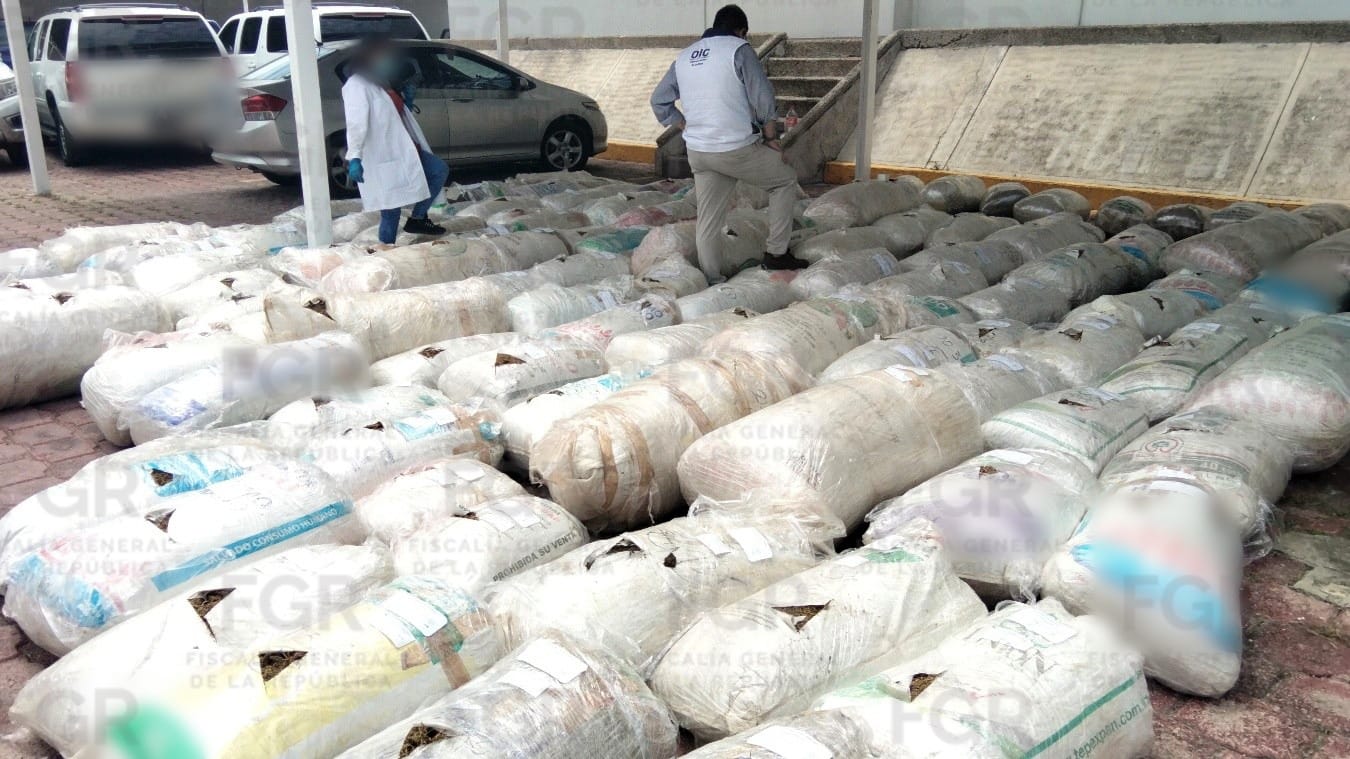 Duro golpe al narco: FGR incinera casi dos toneladas de droga en Guerrero