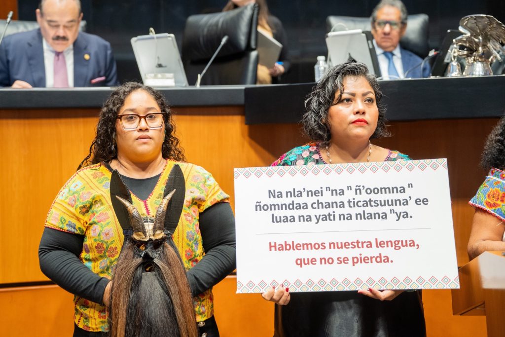 88bda540-a169-4622-a25f-b2972a451e5e-1024x683 Desde la tribuna de la Cámara alta, mujer afroindígena amuzga reconoce el trabajo de la senadora Patricia Guadalupe Ramírez Bazán