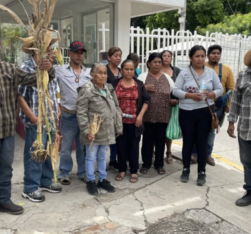 Productores de Chapa, Teloloapan, reportan pérdida total de sus cosechas por la sequía