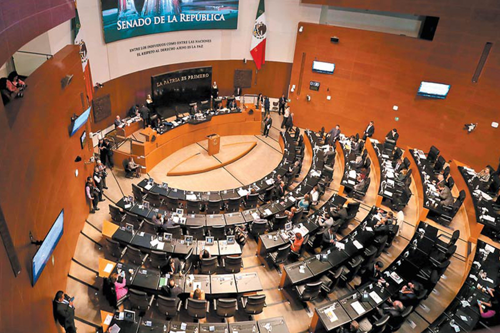 Senado aprueba reforma contra explotación sexual infantil; Guerrero reporta más de 130 víctimas de abuso sexual en 2026